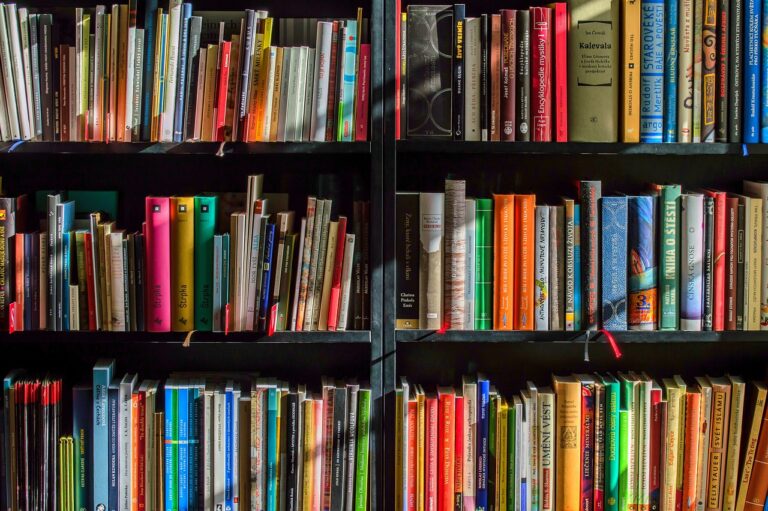 Zehn Autoren, drei Runden und das Publikum entscheidet: Am 30. September steigt das Literarische Speeddating in Münster.