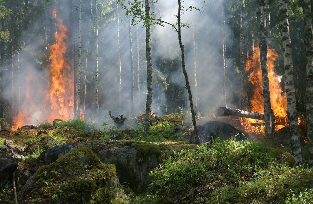 Waldbrand bei Sundern: 55.000 Quadratmeter Waldfläche in Flammen. Im Arnsberger Wald am Möhnesee ist ein Waldbrand ausgebrochen. Das Feuer ist unter Kontrolle, Glutnester bleiben ein Risiko.