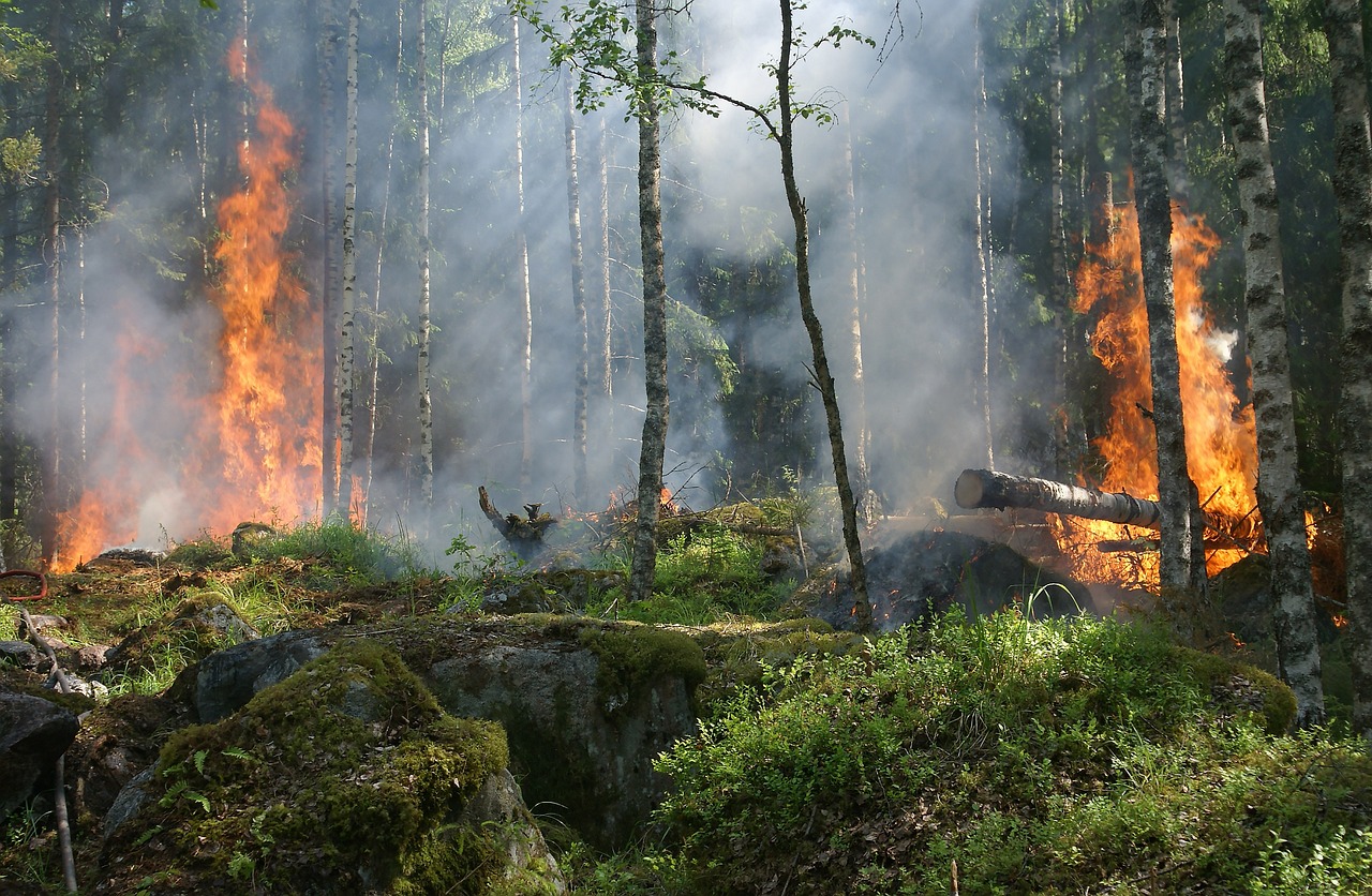 Waldbrand bei Oberwössen
