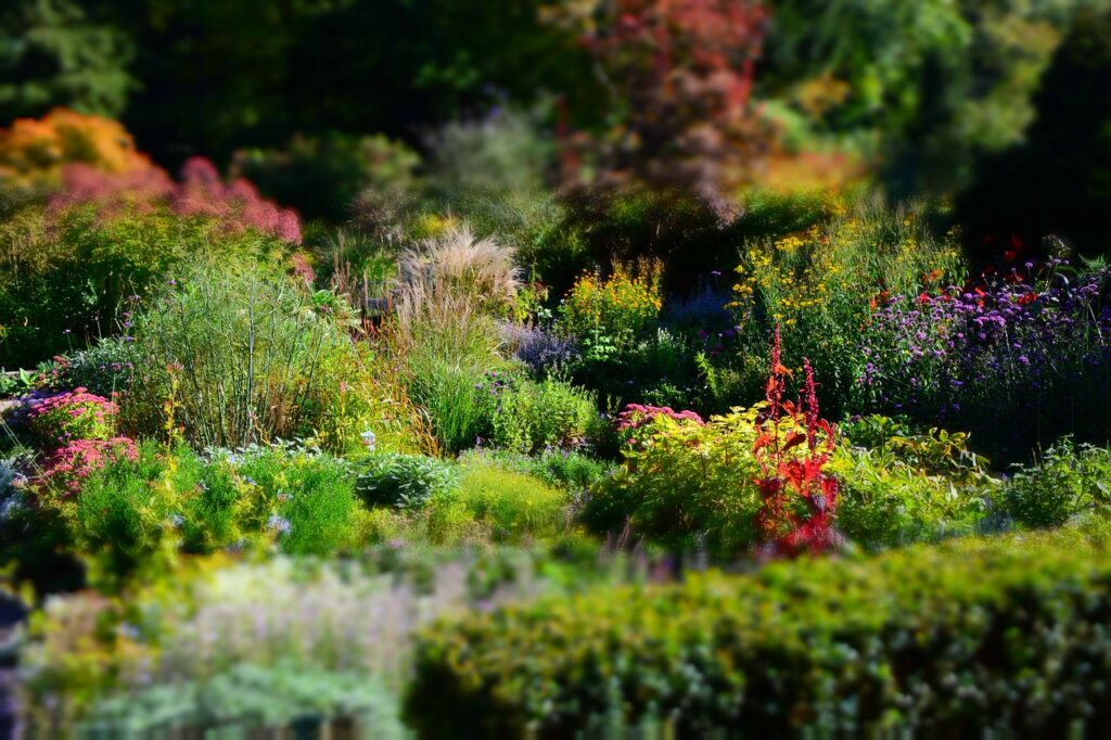 Winterharte Stauden sind eine Bereicherung für jeden Garten.