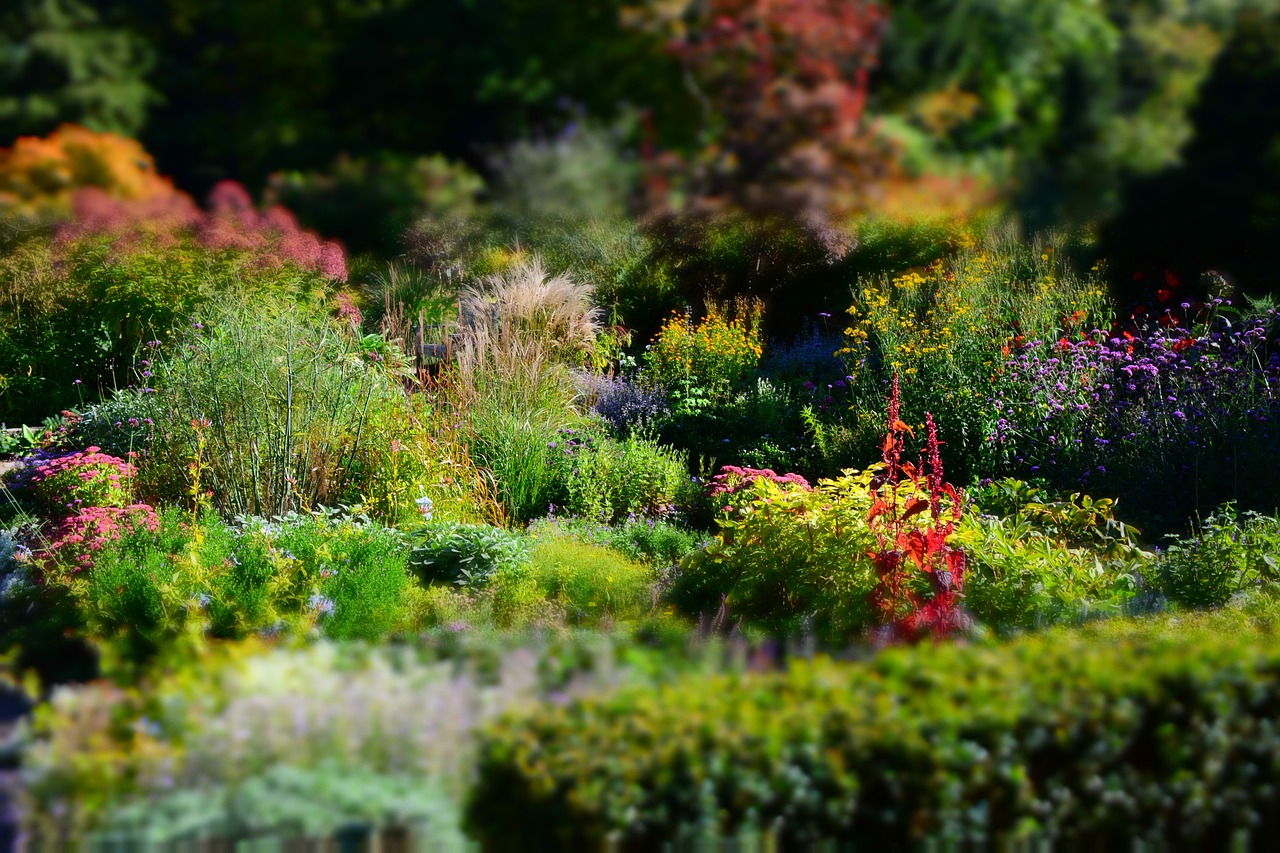 Winterharte Stauden sind eine Bereicherung für jeden Garten.