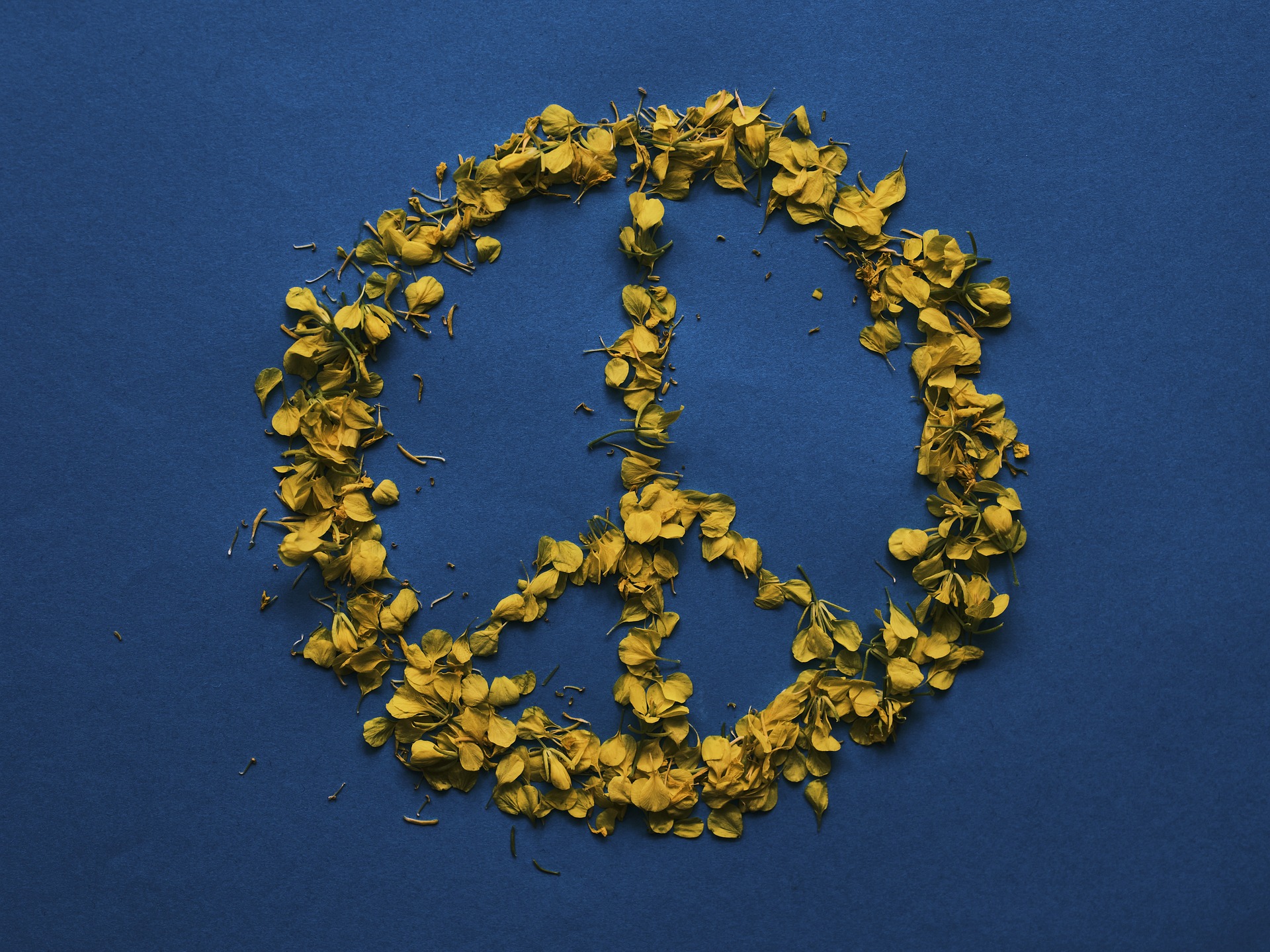 Der Flaggentag der "Mayors for Peace" am 8. Juli in Münster setzt ein Zeichen gegen Atomwaffen und für Frieden.