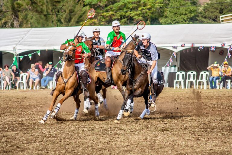 Das Polopicknick in Münster findet dieses WOchenende zwischen dem 28. und 30. in Münster statt.