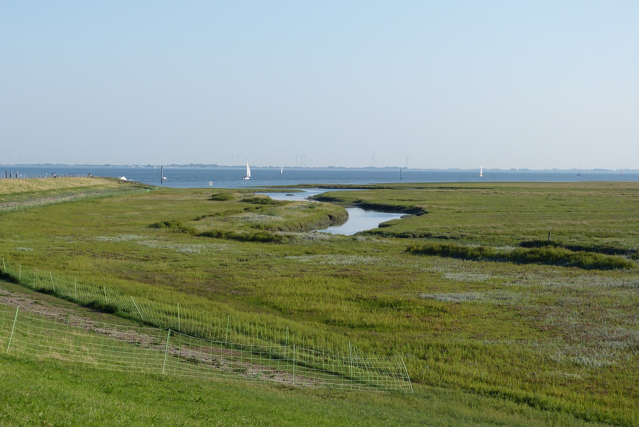 Spiekeroog ist eine idyllische Ostfriesische Insel, bekannt für ihre unberührte Natur und ihre einzigartige, autofreie Atmosphäre. Hier können Besucher auf malerischen Sandstränden entspannen, durch historische Dorfstraßen schlendern und die Zeit auf besondere Weise mit einer Fahrt auf der traditionellen Pferdebahn zurückdrehen.