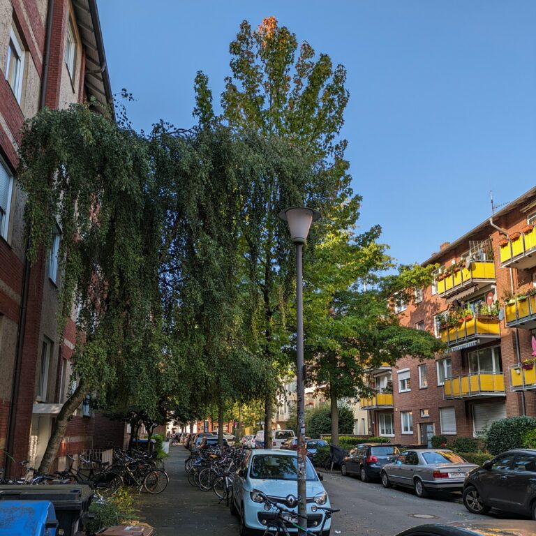 Das Südviertel Münster. Hier ist die Clevornstraße zu sehen.