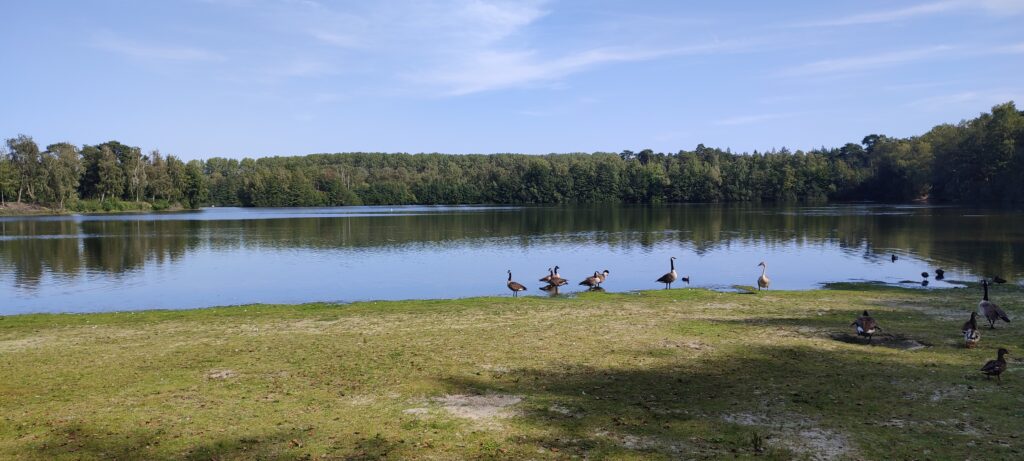 Trotz des Badeverbots bietet der Hiltruper See zahlreiche Freizeitmöglichkeiten. Der „Naturlehrpfad Hohe Ward“ lädt zu entspannten Spaziergängen ein. Wenn du ein Fan von Wassersportarten bist, bietet der See zahlreiche Möglichkeiten. Hier kannst du Segeln, Rudern oder, trotz des Badeverbots, die frische Seeluft genießen.