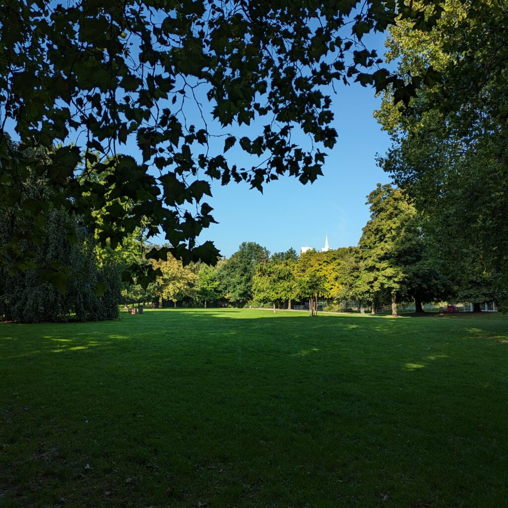 Das Südviertel Münster profitiert enorm durch den Südpark als grüne Lunge.