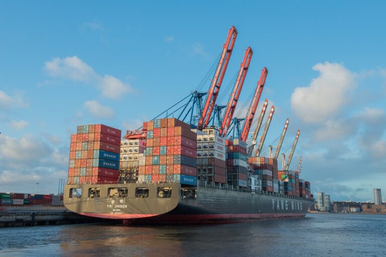 Der IWF hat seine Wachstumsprognosen aktualisiert, wobei Deutschland und die Weltwirtschaft vor Herausforderungen stehen. Während die USA und einige Schwellenländer positiv überraschen, steht Chinas Wirtschaft unter Druck.