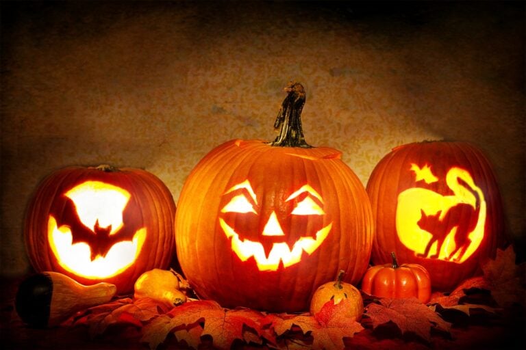 Halloween-Partys in Münster 2026: Alle Veranstaltungen, Clubs, Uhrzeiten und Eintrittspreise im Überblick. Auch Partys für Kinder sind dabei.