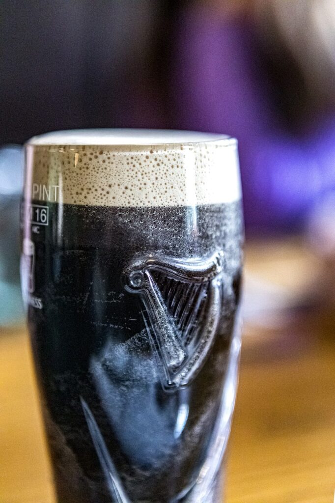 Tauche ein in die Welt der Irish Pubs in Münster – von der urigen Pianobar bis zur Whisky Dungeon Shop & Bar. Erleben Sie authentisches Flair, traditionelle Musik und eine beeindruckende Auswahl an Bieren und Whiskys in der westfälischen Stadt.