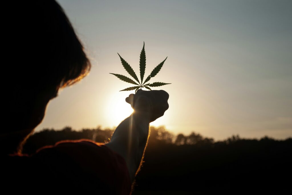 Die bevorstehende Legalisierung von Cannabis in Deutschland Bald wird das Kiffen in Deutschland legalisiert, ein Schritt, der nicht nur gesellschaftliche, sondern auch wirtschaftliche Wellen schlägt. Die Ankündigung der Legalisierung hat bereits zu einem bemerkenswerten Anstieg der Aktienkurse von Cannabis-Unternehmen geführt, obwohl dieser Anstieg auf einem relativ niedrigen Niveau stattfand. Unternehmen wie Tilray und Canopy Growth, die in Nordamerika zu den führenden Akteuren gehören, hatten in der Vergangenheit ihre Anbaukapazitäten weit über den tatsächlichen Bedarf hinaus ausgebaut, was zu einem drastischen Preisverfall führte.