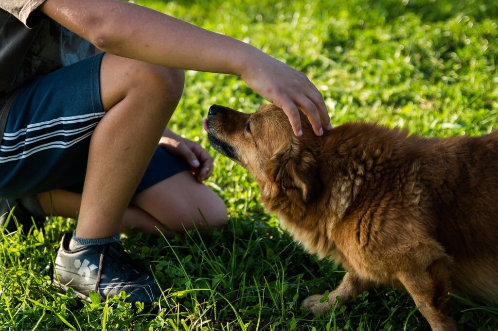 Ein nackter psychisch erkrankter Mann aus Köln tötet zwei Hunde in Vlotho. Die Polizei ermittelt wegen Tierquälerei. In Lippstadt wurden präparierte Hundeköder entdeckt. Die Polizei ermittelt und warnt vor den Gefahren für Kinder und Tiere.