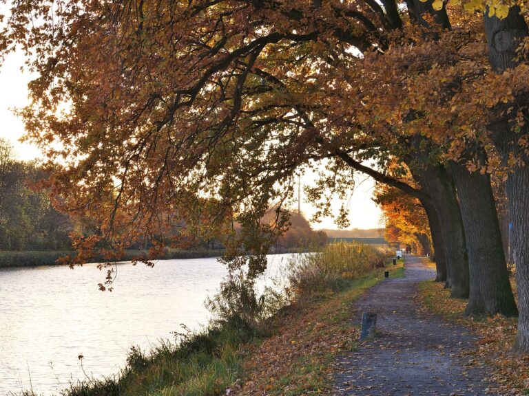 Dortmund-Ems-Kanal in Amelsbüren