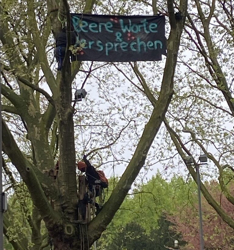 Baumbesetzer in Münster "leere Worte & Versprechen"