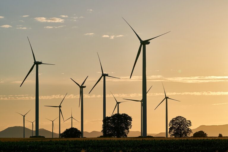 Die Stadtwerke Münster veröffentlichen 2025 erstmals freiwillig einen Nachhaltigkeitsbericht – als Vorbereitung auf kommende EU-Vorgaben. Das OVG Münster hat die Klage gegen Windräder in Sundern-Bönkhausen abgewiesen. Die Anwohnerquelle gilt laut Gutachten als nicht gefährdet – der Ausbau geht weiter.