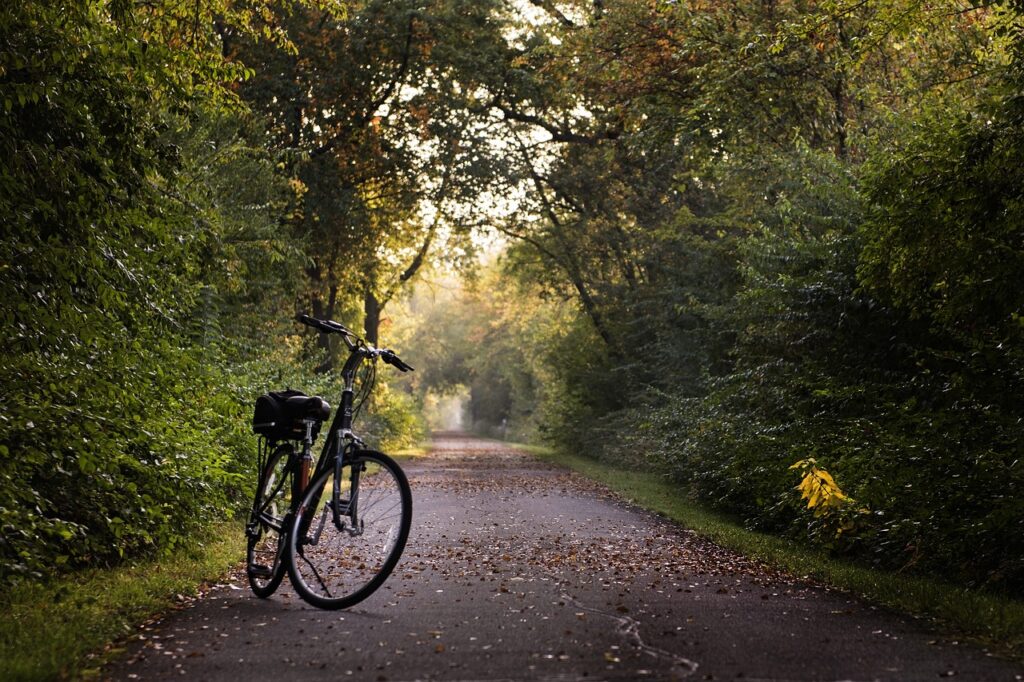 Der Kieselkampweg in Coerde ist wegen starkem Bewuchs besonders in den Kurven gefährlich für Radfahrer und Fußgänger. Maßnahmen zur Sicherheit sind dringend notwendig.