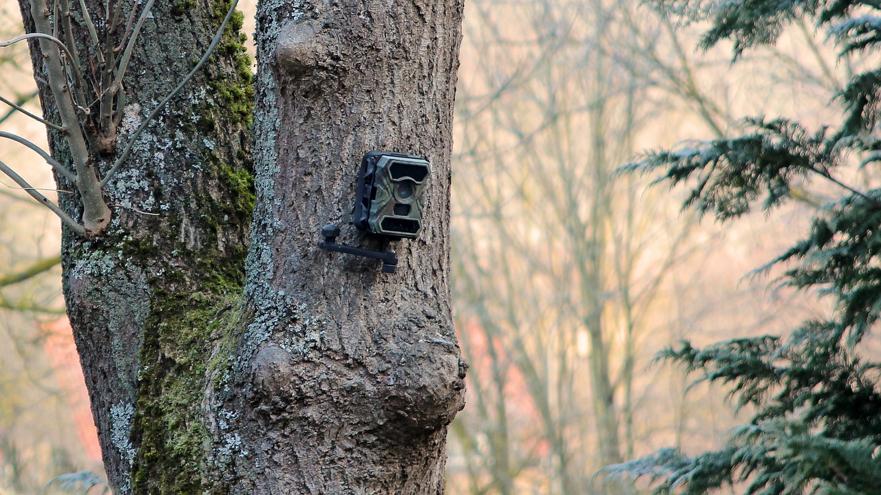 Ein Mann in Münster wurde beschuldigt, eine Wildkamera installiert zu haben, um Passanten heimlich zu filmen. Erfahren Sie mehr über die rechtlichen Folgen und die Reaktion der Behörden auf diesen Eingriff in die Privatsphäre.
