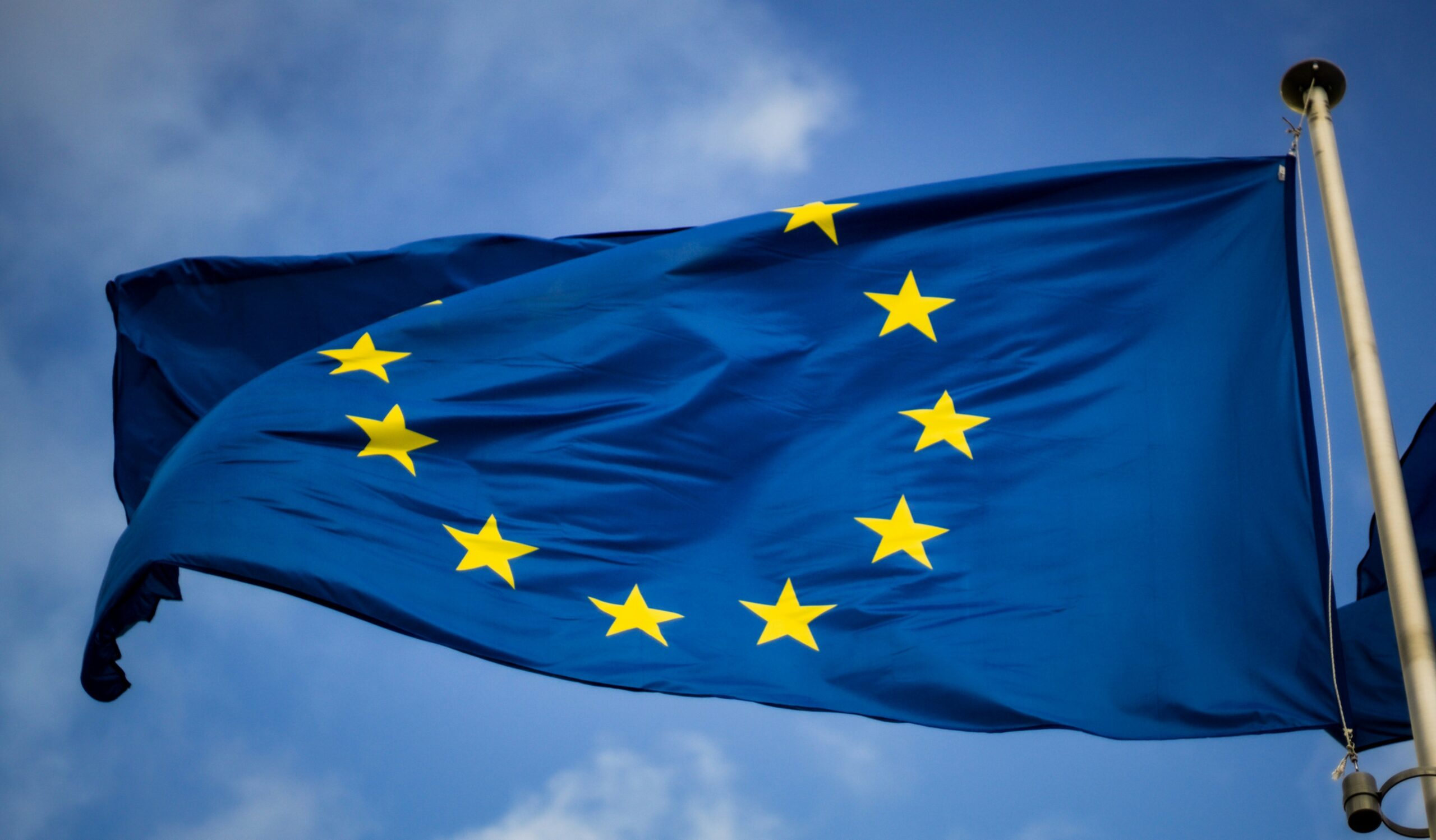 Die Europawahl in Münster brachte einige Überraschungen. Grüne mit Verlusten, Volt als Überraschungssieger. Wahlbeteiligung bei 74,34 Prozent.
