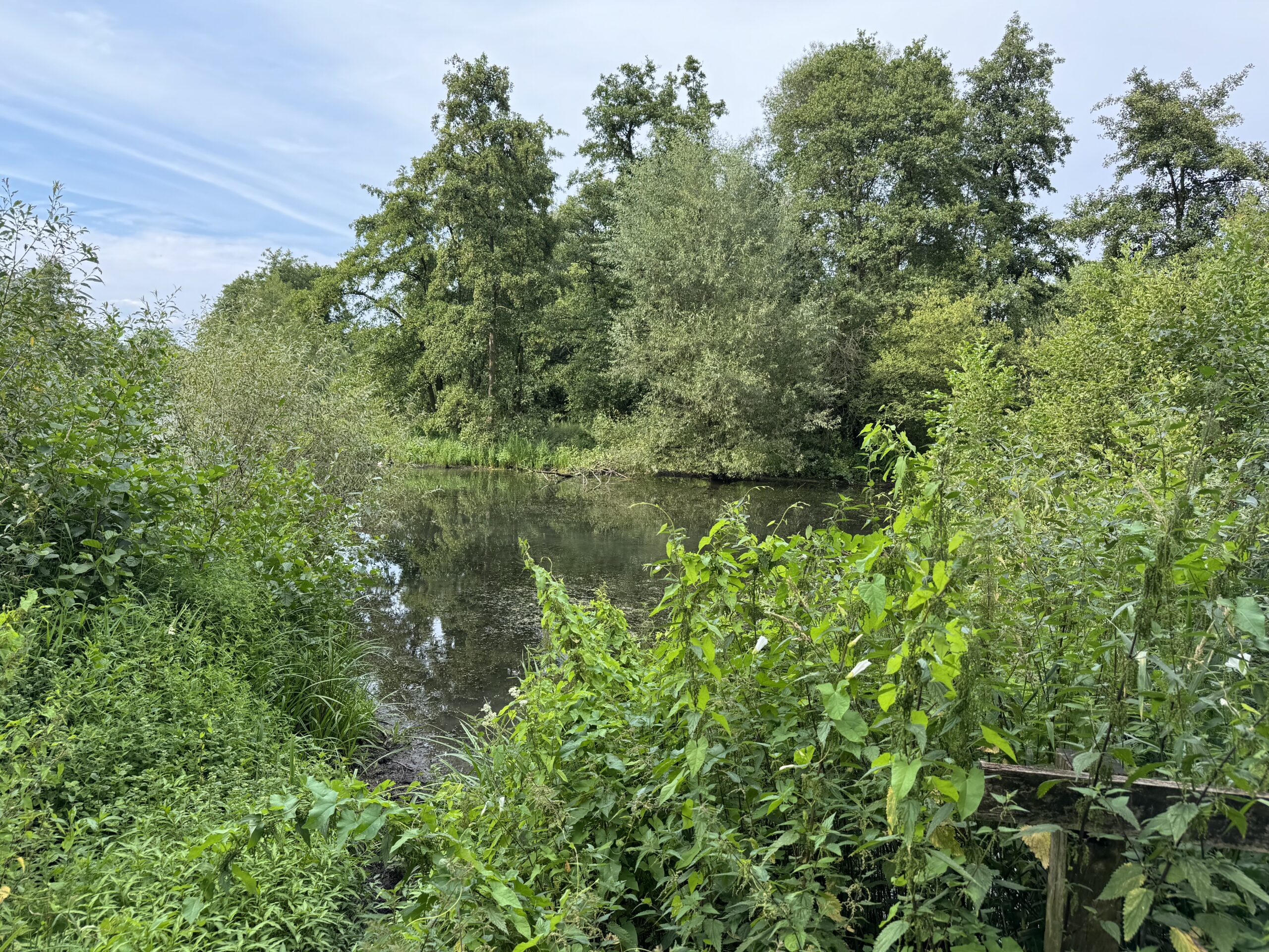 Der Wienburgpark Münster wird ökologisch aufgewertet. Erfahren Sie mehr über die Maßnahmen zur Verbesserung der Teiche, Uferbereiche und Biodiversität in diesem beliebten Erholungsort. Ab 7. Mai: Kostenloses Training Bewegung gegen Depression im Wienburgpark Münster – ohne Anmeldung, offen für alle.