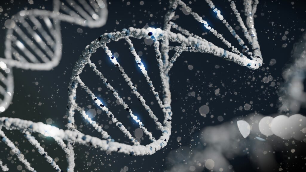 Entdecken Sie die faszinierende Welt der Gene in der Sonderausstellung "Gene - Vielfalt des Lebens" ab dem 21. Juni 2024 im LWL-Museum für Kunst und Kultur. Die Gene Ausstellung in Münster!