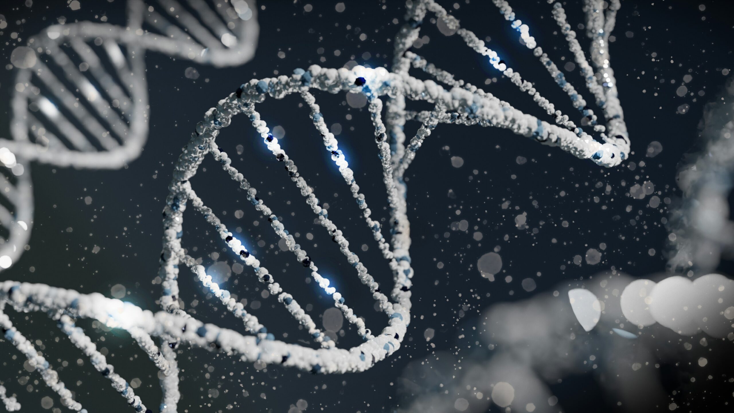 Entdecken Sie die faszinierende Welt der Gene in der Sonderausstellung "Gene - Vielfalt des Lebens" ab dem 21. Juni 2024 im LWL-Museum für Kunst und Kultur. Die Gene Ausstellung in Münster!