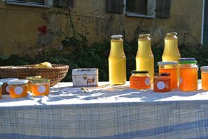 Entdecke alle Hofläden im Umkreis von 7 km um Münster. Frische, regionale Produkte direkt vom Erzeuger – von Spargel über Erdbeeren bis hin zu Milchprodukten.