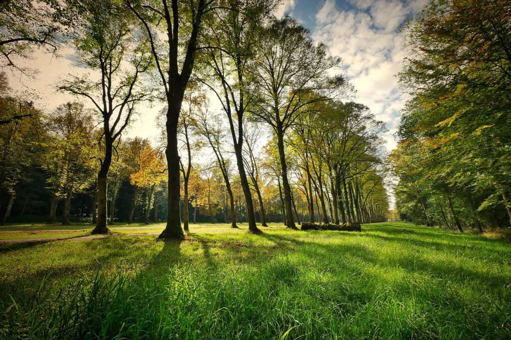 Du bist auf der Suche nach einem Park in Münster. Entdecken Sie die schönsten Parks in Münster, darunter der Aasee, der Botanische Garten und die Promenade. Erfahren Sie mehr über die grünen Oasen der Stadt und ihre vielfältigen Freizeitmöglichkeiten.