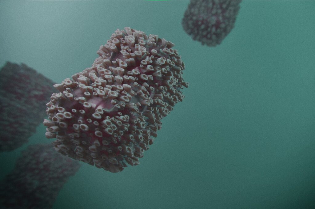 Wie gefährlich ist die neue Mpox, bzw. Affenpocken-Subvariante Klade Ib für Münster? Ein Überblick über die aktuelle Lage und mögliche Risiken. Mpox-Virus: Förderschule in Rösrath nach Infektionsfällen geschlossen