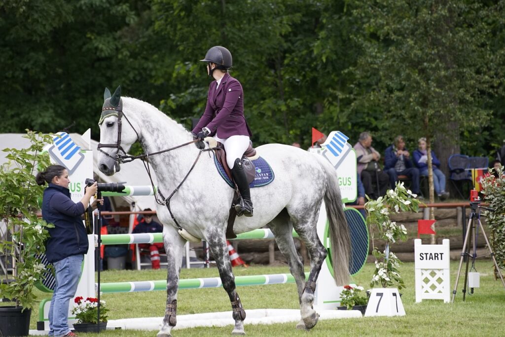 Das Turnier der Sieger 2024 in Münster: Erlebe internationales Spitzenniveau im Dressur- und Springsport vor der malerischen Kulisse des Schlossplatzes.