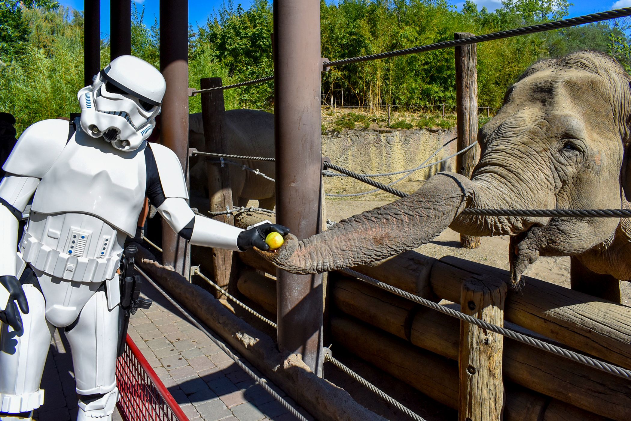 Das Eventwochenende der „4 am Aasee“ bietet am 28. und 29. September 2024 ein einzigartiges Erlebnis am Aasee in Münster. Veranstaltet von den vier großen Attraktionen – dem Allwetterzoo Münster, dem LWL-Museum für Naturkunde, dem Mühlenhof-Freilichtmuseum und dem Westfälischen Pferdemuseum – steht das Festival unter dem Motto „Showtime“. Es erwartet Besucher eine faszinierende Mischung aus Musik, Film, Magie, Theater, Wissenschaft und Tieren.