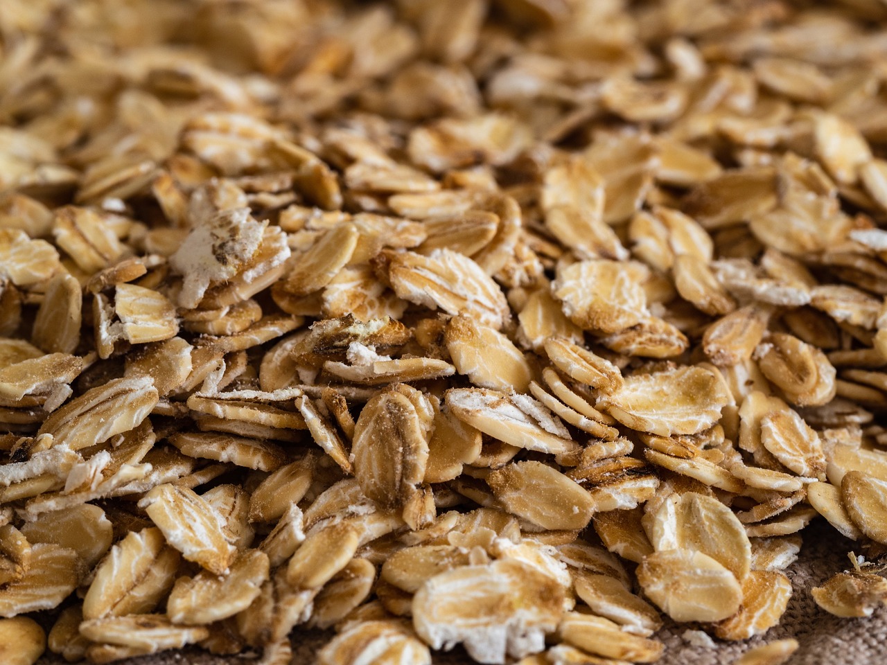 Haferflocken Schimmelpilze: Der Test zeigt, dass konventionelle Produkte oft mit Schimmelpilzgiften belastet sind. Bio-Haferflocken schneiden deutlich besser ab.