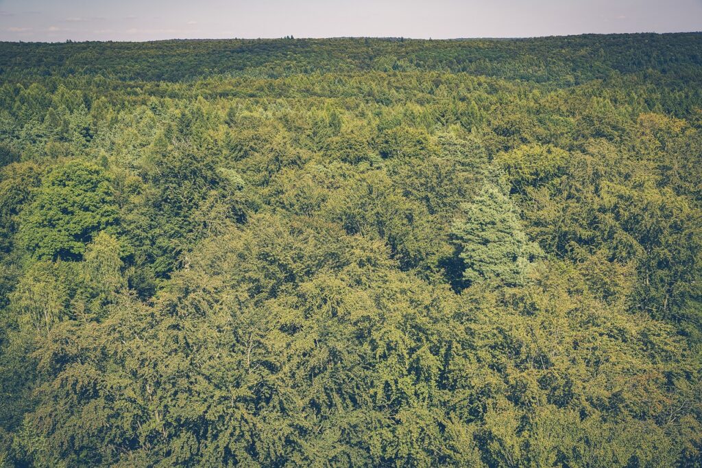 Maintal, Main River Ranch