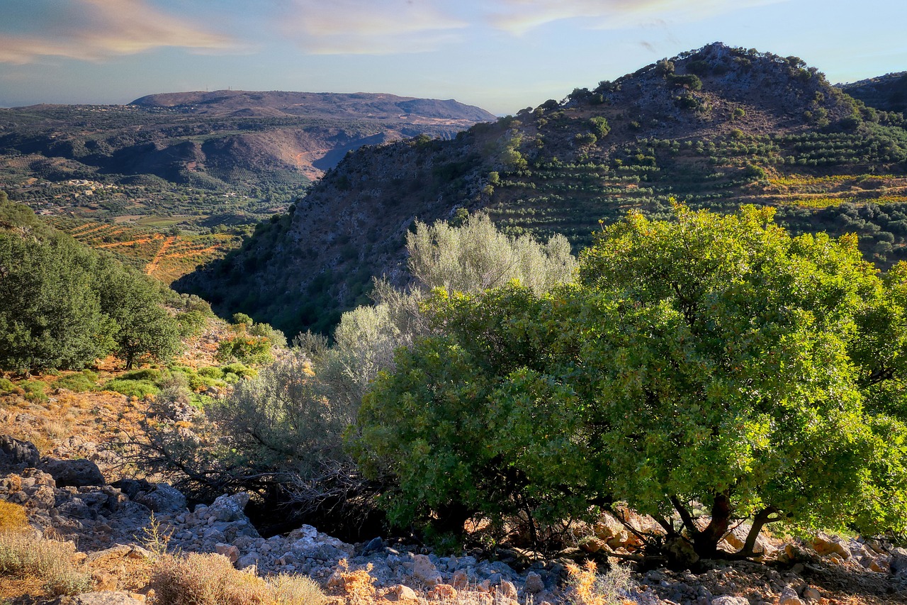 Der Botanische Garten Münster schafft eine geografische Pflanzensammlung der Rocky Mountains. Sie zeigt alpine Pflanzen und vermittelt die Auswirkungen des Klimawandels.