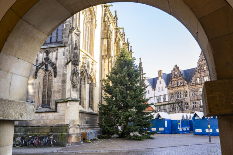 Die Weihnachtstanne in Münster erstrahlt mit 300 Lichtern und markiert die festliche Eröffnung der Weihnachtsmärkte.