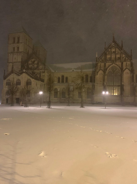 Erfahre alles über den möglichen Wintereinbruch in Münster, von Wetterprognosen bis hin zu Bürgerpflichten.