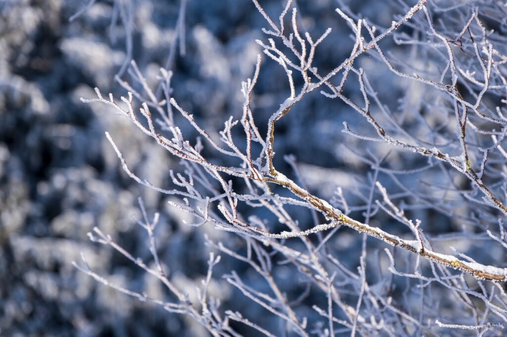 Winterwetter in NRW bringt Schnee und Glätte, aber auch milde Temperaturen. Verkehrsprobleme und Wintertipps für Autofahrer.