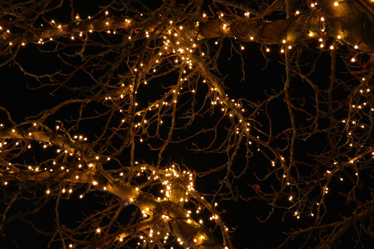 Die Weihnachtsbeleuchtung in Münster 2024 nutzt umweltfreundliche LED-Lichterketten, traditionelle Dekoration und Engagement der Bürger für eine festliche Atmosphäre.