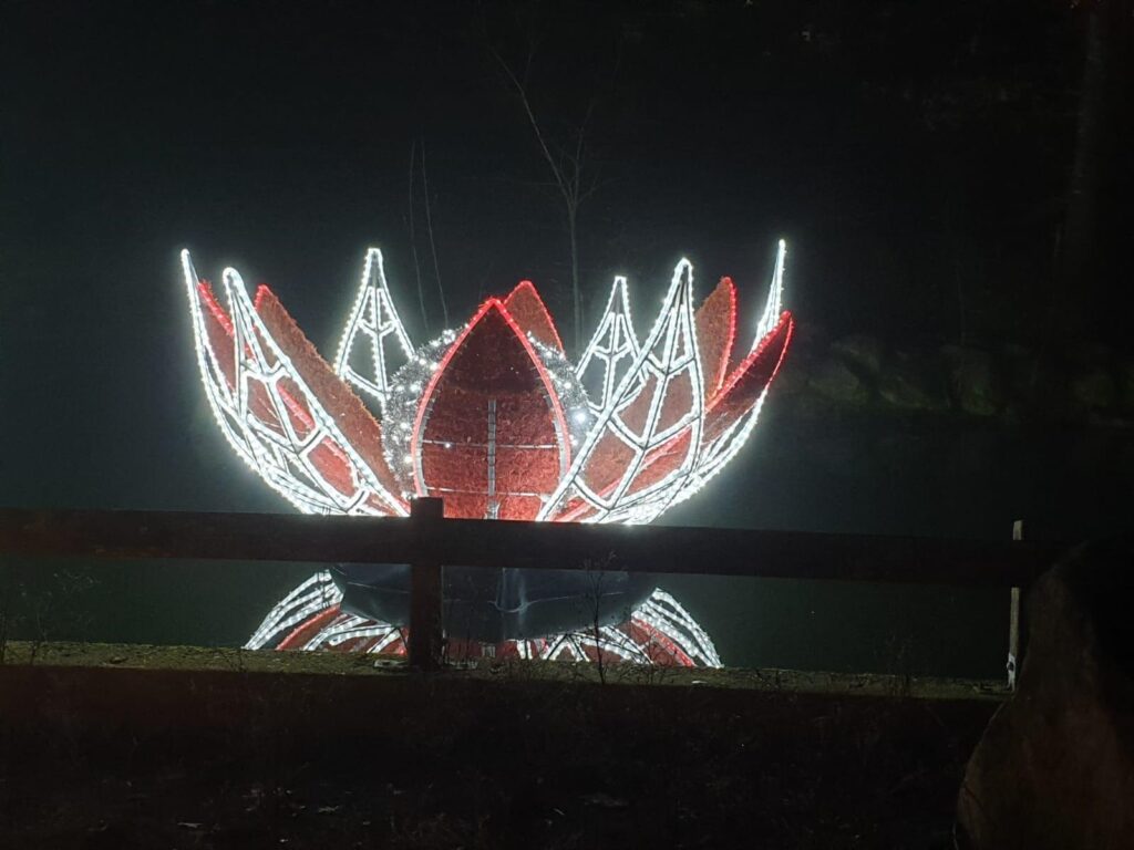 Erlebt vom 28.11 - 5.1 bei den XMAS Lights 2024 im Allwetterzoo Münster ein funkelndes Winterwunderland voller Lichtinstallationen.