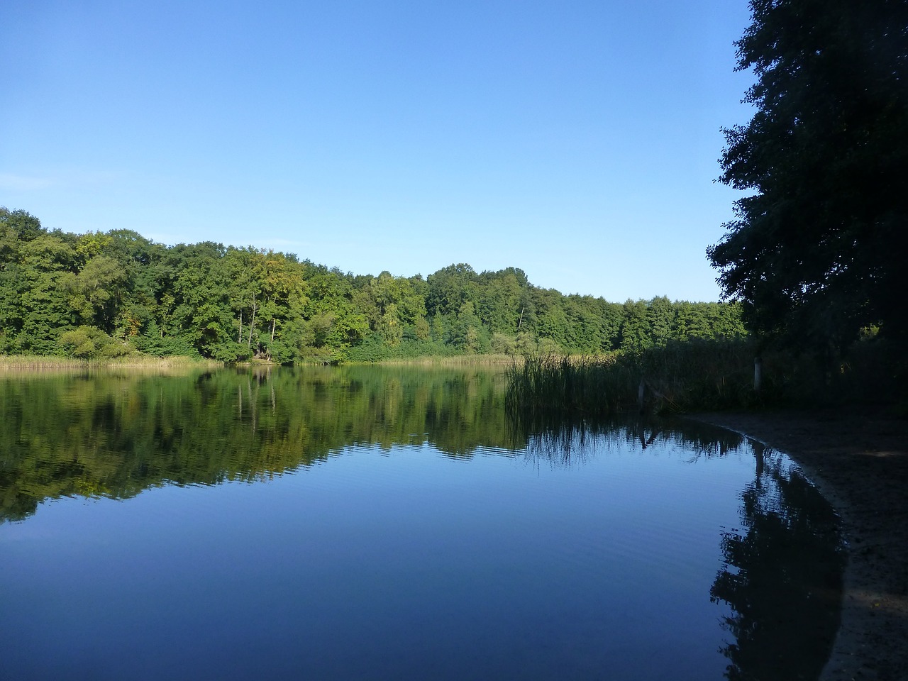 See Berlin Grunewald