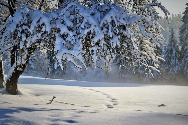 Weiße Weihnachten in NRW sind selten. Erfahre, wie das Wetter 2024 aussieht und wie der Klimawandel die Winter verändert. Winterwetter in NRW mit Schneefall, Glättegefahr und Verkehrsproblemen. Entdecke Winterzauber und Schlittengaudi in höheren Lagen.