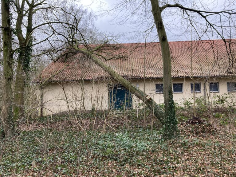 Ein Baum stürzte auf die Turnhalle der Waldschule Kinderhaus. Infos zu Maßnahmen, Folgen und Sanierungsplänen hier.