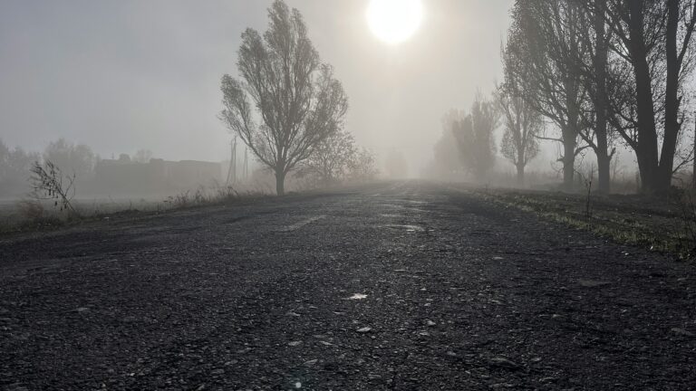 Nebel Münster Prognose