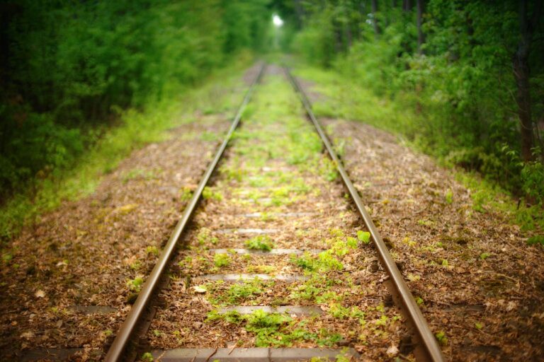 Ausbau der Teutoburger Wald-Eisenbahn: Studie zeigt Potenzial. Wirtschaftliche Vorteile, politische Debatte und Herausforderungen im Überblick.