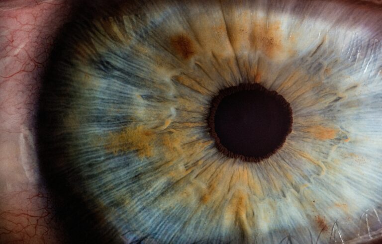 Auge in Nahaufnahme. Der Augenjäger von Dallas, Charles Albright