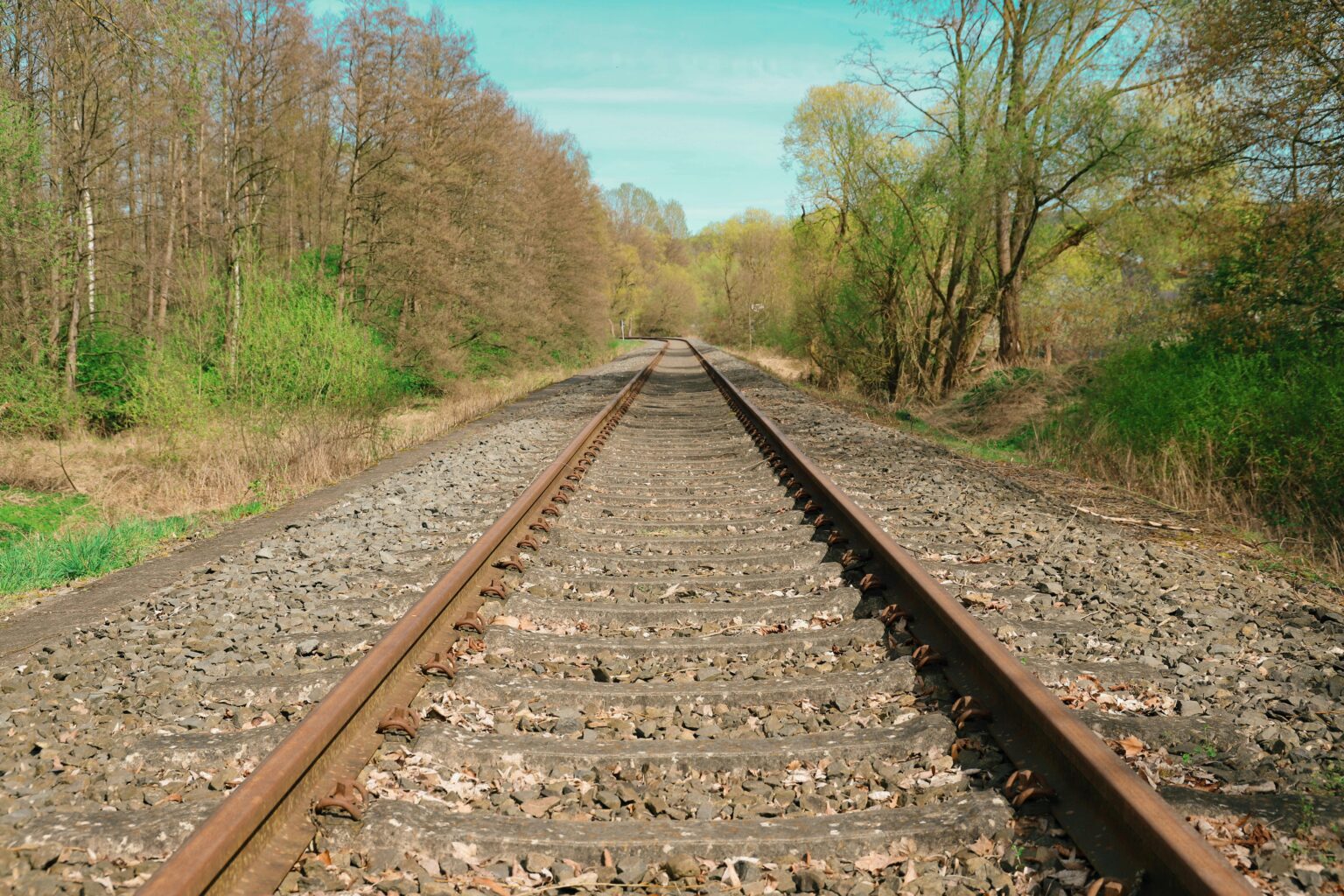 Eine Oberleitungsstörung in Münster sorgt für Einschränkungen im Bahnverkehr. Welche Strecken betroffen sind und wie es weitergeht, erfahren Sie hier.