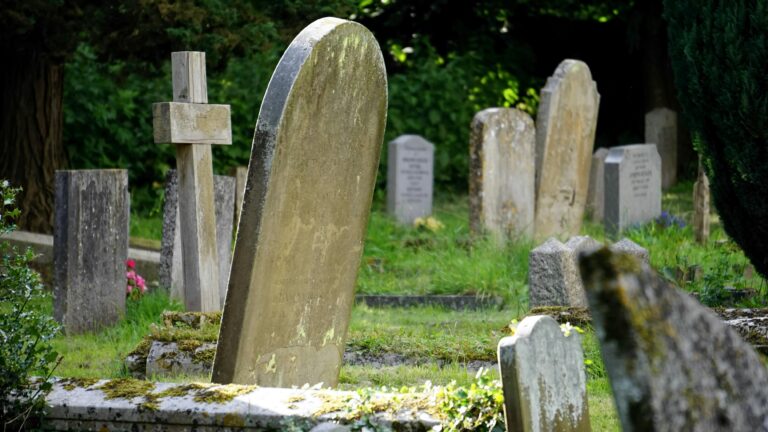 Sterbefälle in Münster und dem Münsterland: Rückgang 2024 – Die Todesfallzahlen sind 2024 deutlich gesunken. Erfahren Sie hier, welche Faktoren zu diesem Rückgang beigetragen haben.
