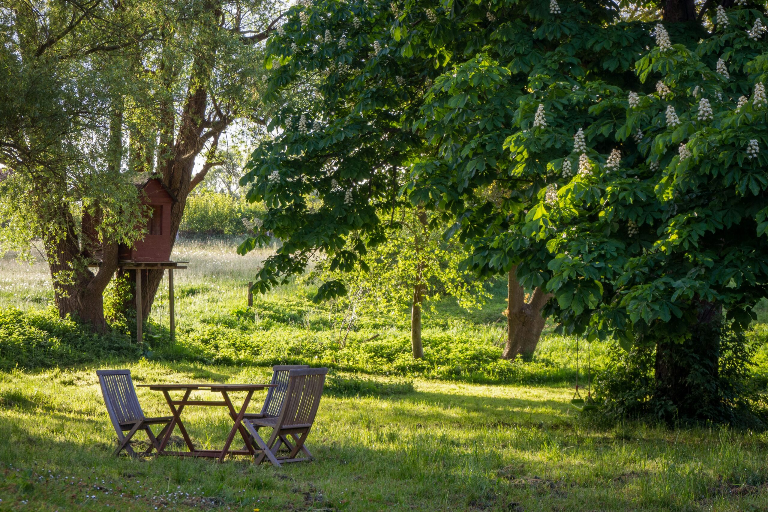 Bereiten Sie Ihren Garten optimal auf die neue Saison vor mit unseren Tipps zum Frühjahrsputz. Erfahren Sie, wie Sie Gartenwerkzeuge reinigen, Sträucher und Bäume richtig schneiden