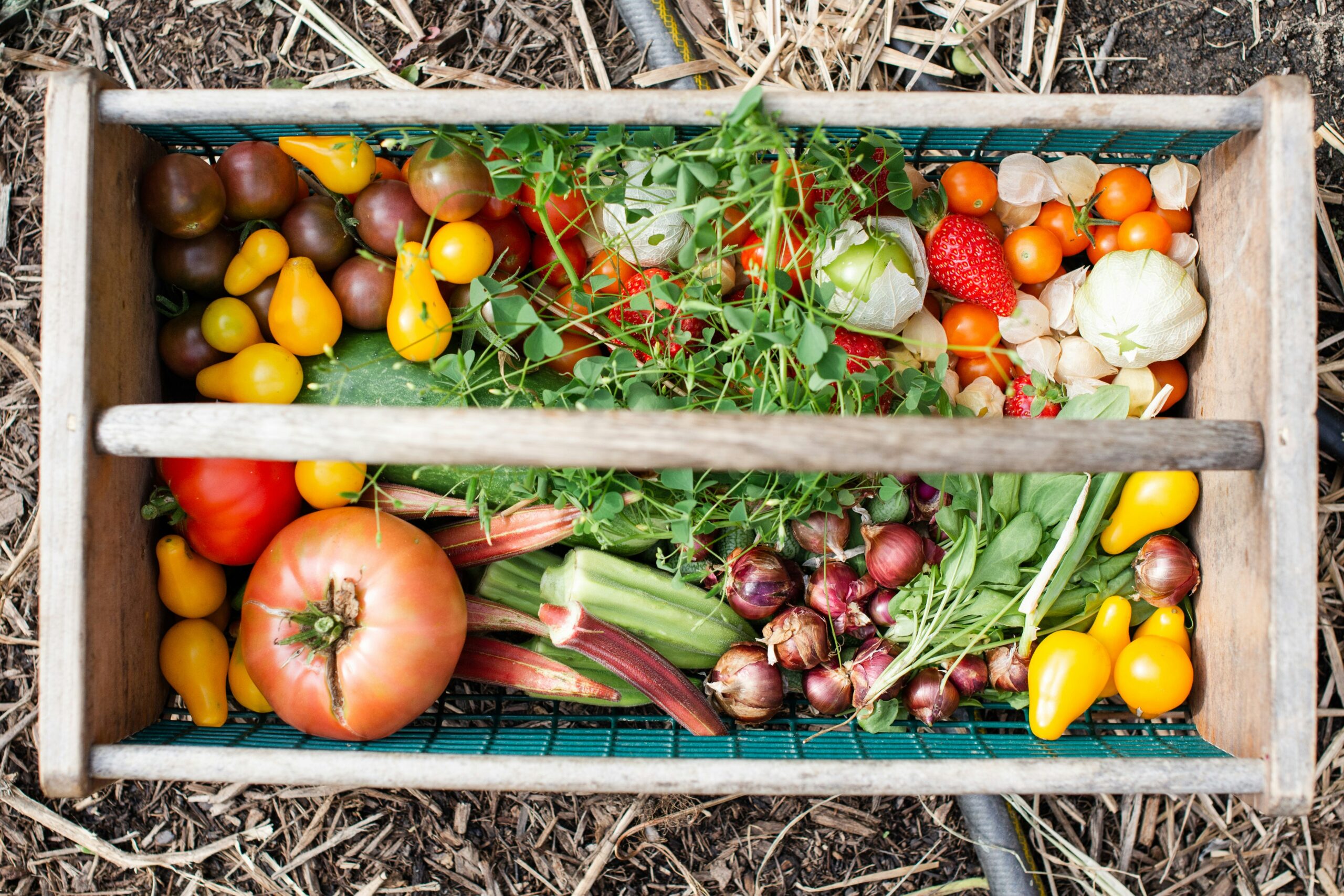 Gemüsegarten planen