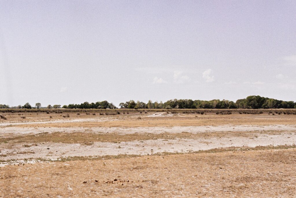 Anhaltende Frühjahrstrockenheit im Münsterland: Niedrige Wasserstände, wachsende Waldbrandgefahr und Sorgen um die Ernte. Wie sich die Dürre 2025 auf Landwirtschaft, Grundwasser und Natur auswirkt.