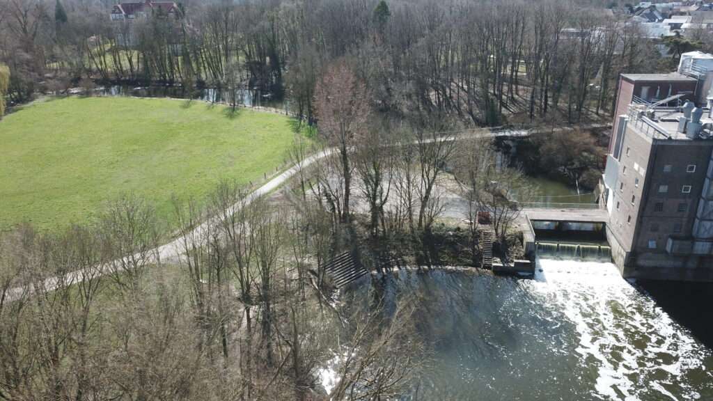 Münster plant den naturnahen Umbau des Werse-Wehrs Sudmühle – für mehr Artenvielfalt, ökologischen Flusslauf und nachhaltige Gewässerentwicklung.